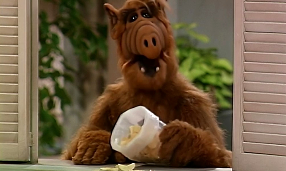 Co jadł Alf - Alf z cjhipsami