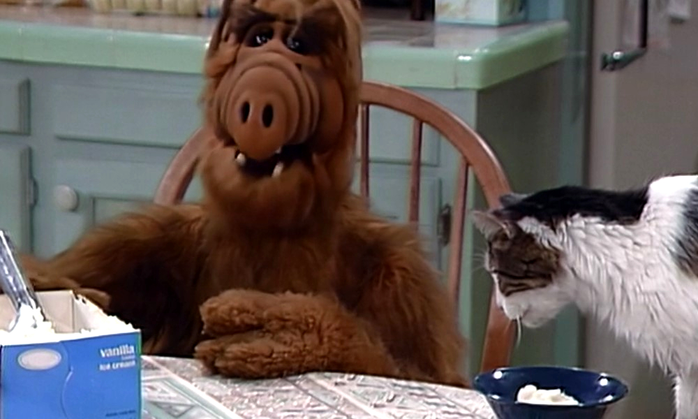 Alf i kot